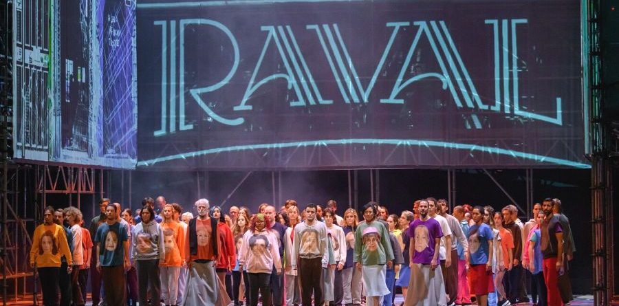 la gata perduda liceu