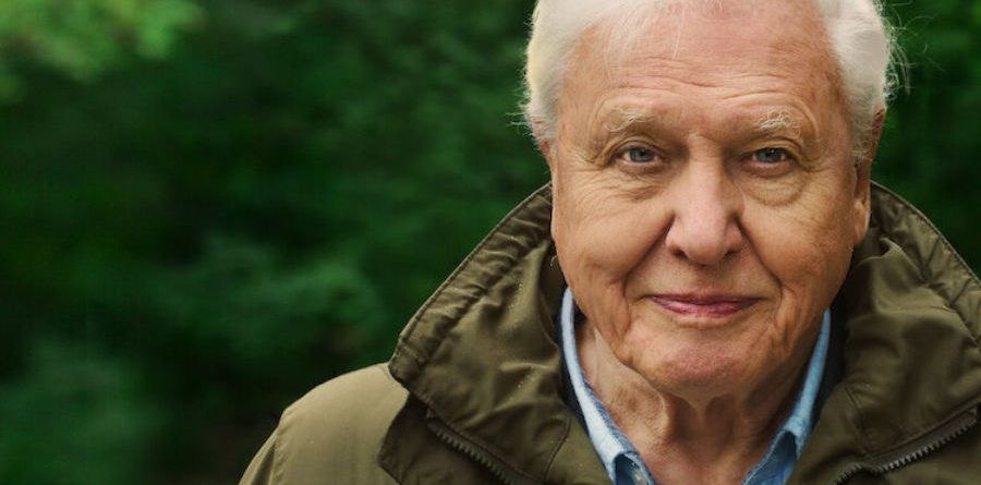 David Attenborough