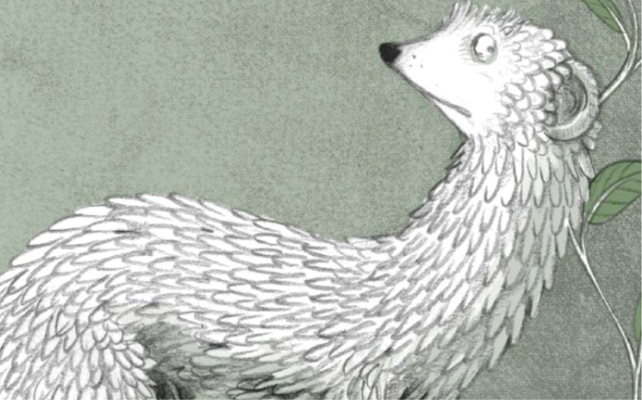 El bosc dels mil ulls 2