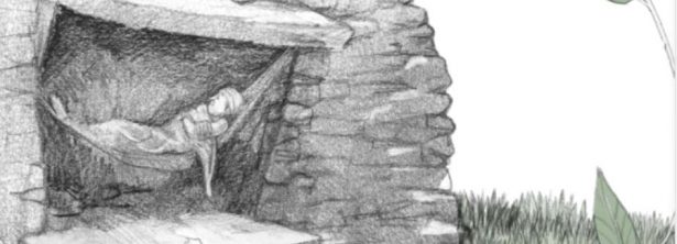 El bosc dels mil ulls