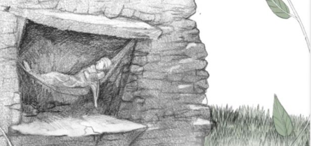 El bosc dels mil ulls