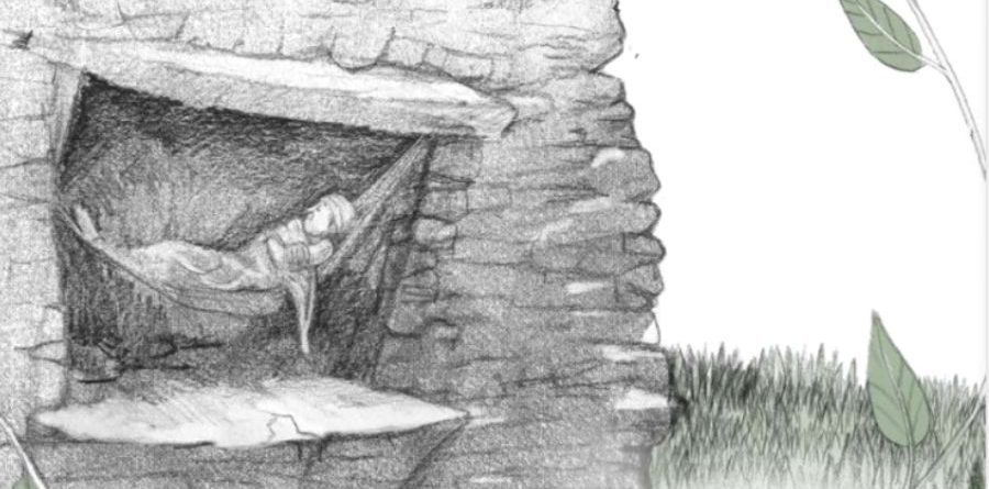 El bosc dels mil ulls