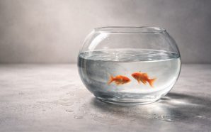 El vertigen del desig