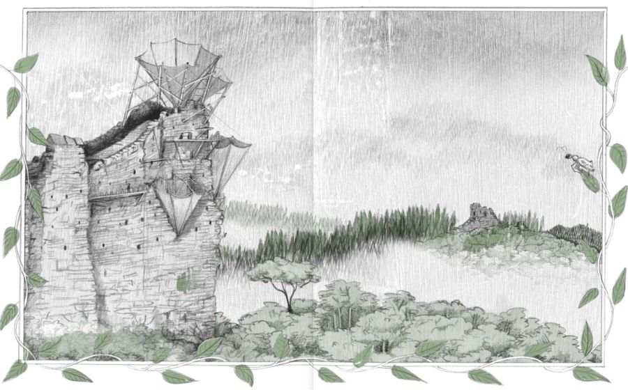 el bosc dels mil ulls 1