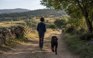 Les arrels de la venjança